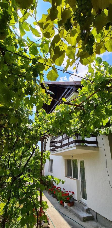 Ferienwohnung Cazare Vila Maria Curtea de Argeş Exterior foto