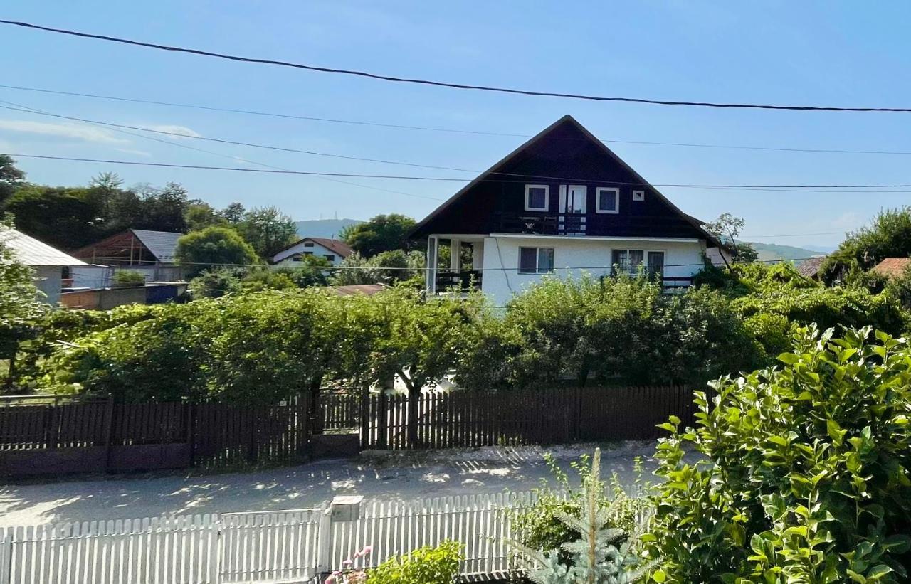 Ferienwohnung Cazare Vila Maria Curtea de Argeş Exterior foto